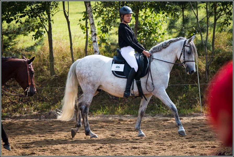MP Stable39